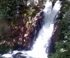 Photographie de LLET, BULLIDOR DE LA (2 sur 4)