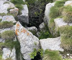 Fotografia de BOIXEDER, GRALLERA PETITA DEL (1 de 1)