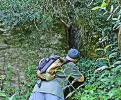 Photographie de FEBRES, FONT DE LES (1 sur 3)