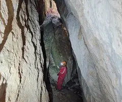 Fotografia de MATA, COVA D'EN (10 de 13)