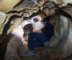Fotografía de MÀGICA, COVA DE LA (7 de 8)