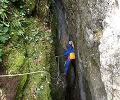Fotografia de MAÇANA, BÒFIA DE (2 de 11)