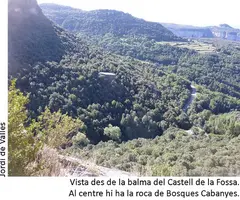 Fotografia de CASTELL DE LA FOSSA, BALMA DEL (7 de 7)