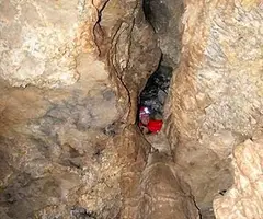 Fotografía de CASTELLOLÍ, COVES DE (10 de 10)