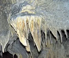Photographie de MORT, COVA DEL (8 sur 13)