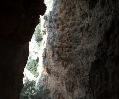 Fotografía de SANTA FE, COVA DE (3 de 12)