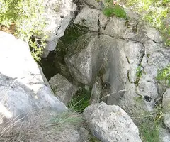Fotografia de ARANYES NEGRES, AVENC DE LES (1 de 1)