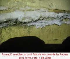 Fotografia de ROQUES DE LA TORRE, COVA DE LES (4 de 4)