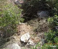 Photographie de BRUT, AVENC (2 sur 3)