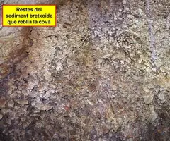 Photograph of VIDABONA, COVA D'EN (7 of 7)