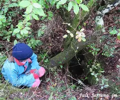 Fotografia de ARBRE, AVENC DE L' (1 de 7)
