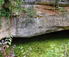 Photograph of FONT DE LA VALL VILARAMÓ, BALMA DE LA (3 of 3)
