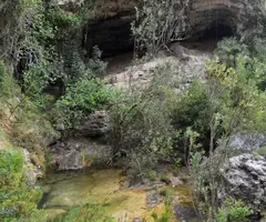 Fotografia de AIGUADONZELLA, COVES D' (2 de 5)