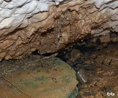 Fotografia de FONT DE LA COVASSA, COVA DE LA (9 de 9)