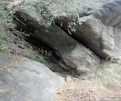 Fotografia de GUILLES, CAU DE LES (3 de 6)