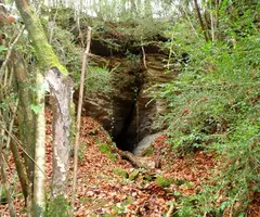 Fotografia de CODOLOSA, COVA (1 de 4)
