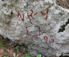 Fotografia de NR-4-5-6, AVENCS (9 de 9)