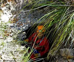Fotografía de SITGETANS, AVENC DELS (1 de 4)