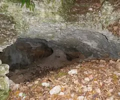 Fotografía de FONTSCALENTS, COVA DE (2 de 3)