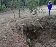 Fotografía de PONTET,  COVA DEL (1 de 2)