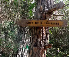 Fotografía de ERMITANS, COVA DELS (1 de 8)