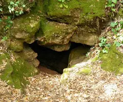 Fotografia de PICAROL, COVA-AVENC DEL (2 de 7)