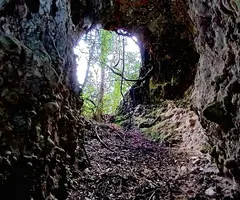 Fotografia de PEPET, BÒFIA D'EN (7 de 8)