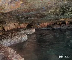 Photographie de LLOP MARÍ, COVA DEL (5 sur 7)