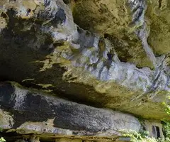 Fotografia de FLEUS, BALMA DE LES (1 de 4)