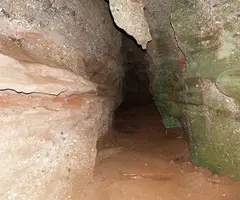 Fotografía de REGAL-MARCET, COVA (6 de 6)