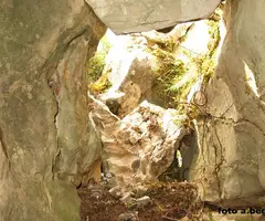 Photographie de JOSEP ESTRADA, AVENC (1 sur 4)