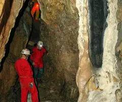 Photographie de LLOBERES, COVA DE LES (5 sur 5)