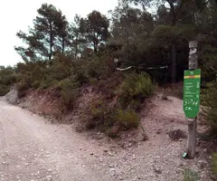 Fotografía de PICOSSA, AVENC DE LA (3 de 9)