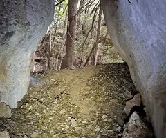Fotografia de LLIMACS, COVA DELS (3 de 3)