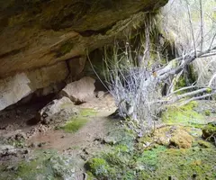 Fotografia de FONT D'EN PERE COSTA, BALMA DE LA (1 de 3)