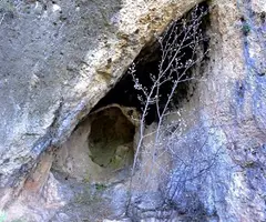 Fotografia de JOAN OLIVÉ, COVA D'EN (1 de 1)