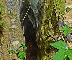 Photographie de FEBRES, FONT DE LES (3 sur 3)