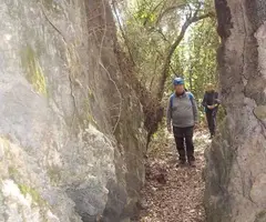 Fotografia de CA N'OLIVERES, ESCLETXES DE (1 de 7)