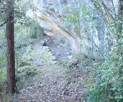 Fotografía de ROQUERO, COVA DEL (1 de 2)