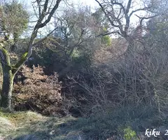 Fotografia de DIABLE, POU DEL (1 de 3)