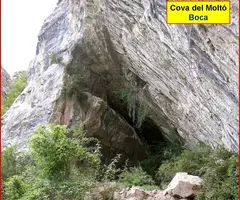 Photographie de MOLTÓ, COVA DEL (3 sur 7)