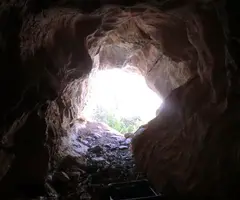 Photographie de PLA DE VACA, COVA DEL (3 sur 4)
