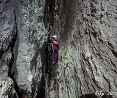 Photographie de PARDINA, GRALLER Nº4 DE LA (7 sur 8)