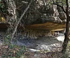 Photographie de MAS SALOU, BALMA DEL (4 sur 4)
