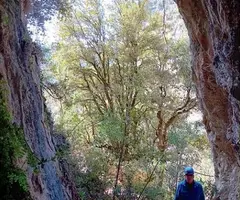 Photographie de MOLÍ BERNAT, COVA DEL (2 sur 5)