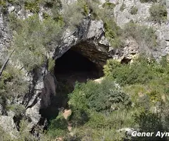 Fotografía de CAN MUNTANER, COVA DE (3 de 4)