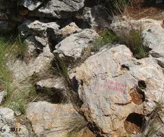Fotografía de ALZINES, ESQUERDA DE LES (1 de 2)