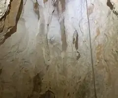 Fotografía de TORRENT DELS CORTILS, COVA DEL (4 de 6)