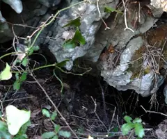 Fotografia de SERRA DEL MAS, AVENC SM-13 DE LA (2 de 7)