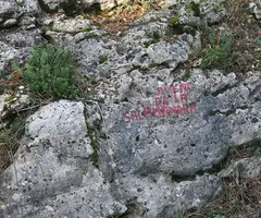 Photograph of SALAMANDRA, AVENC DE LA (1 of 4)